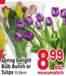 Jewel-Osco Spring Delight Bulb Bunch or Tulips offer