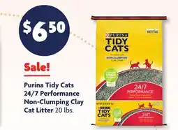 Family Dollar Purina Tidy Cats 24/7 Performance Non-Clumping Clay Cat Litter offer