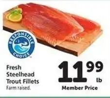 Safeway Fresh Steelhead Trout Fillets offer