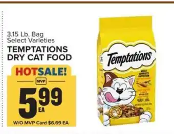 Food Lion Temptations Dry Cat Food offer