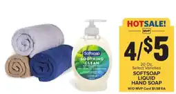 Food Lion Softsoap Liquid Hand Soap offer