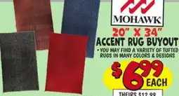 Ollie's 20 X 34 ACCENT RUG BUYOUT offer