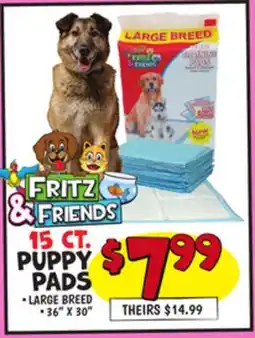 Ollie's 15 CT. PUPPY PADS offer