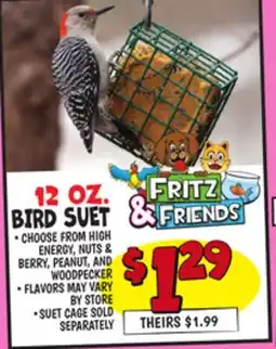 Ollie's 12 OZ. BIRD SUET offer
