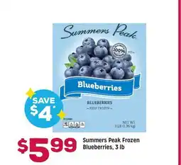 Grocery Outlet Summers Peak Frozen Blueberries offer