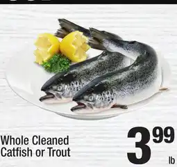 Super King Markets Whole Cleaned Catfish or Trout offer