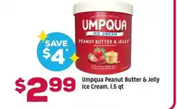 Grocery Outlet Umpqua Peanut Butter & Jelly Ice Cream offer