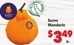 Vallarta Supermarkets Sumo Mandarin offer