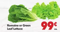 Vallarta Supermarkets Romaine or Green Leaf Lettuce offer