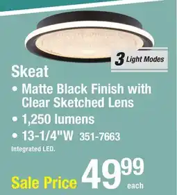 Menards Skeat CEILING LIGHTS offer