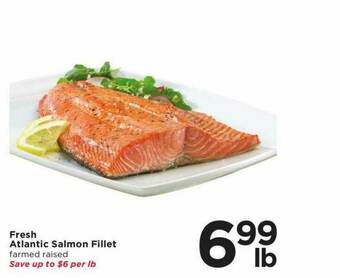 Fresh Atlantic Salmon Fillet