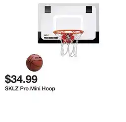 Dick's Sporting Goods SKLZ Pro Mini Hoop offer