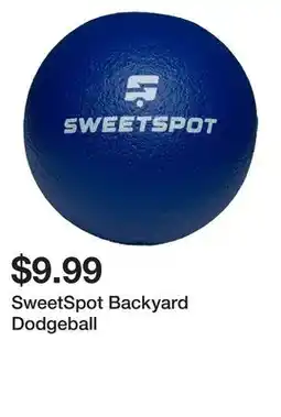 Dick's Sporting Goods SweetSpot Backyard Dodgeball offer