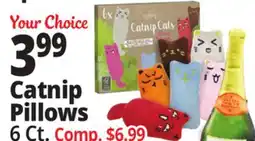 Ocean State Job Lot Catnip Pillows offer