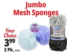 Ocean State Job Lot Jumbo Mesh Sponges offer