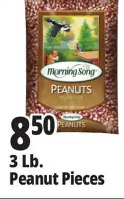 Ocean State Job Lot Morning Song Wildlife Food Peanuts 3 lbs offer