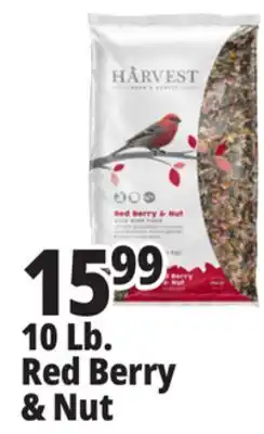 Ocean State Job Lot Harvest Seed & Supply Red Berry & Nut Wild Bird Food 10 lb offer