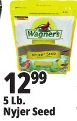 Ocean State Job Lot Wagner's Premium Nyjer Seed 5 lbs offer