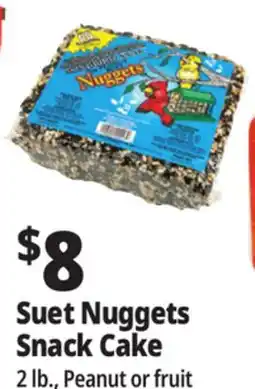 Ocean State Job Lot C&S Songbird Snak with Peanut Suet Nuggets 32 oz offer