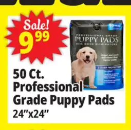 Ocean State Job Lot 24x24 Puppy Pads with Odor Eliminators 50 Count offer