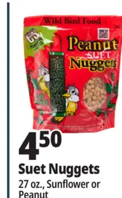 Ocean State Job Lot C&S Wire Bird Feeder offer