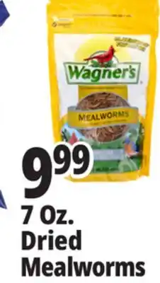Ocean State Job Lot Wagner's Bird Meal Worms 7oz offer