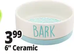 Ocean State Job Lot 6 Ceramic Bowls offer