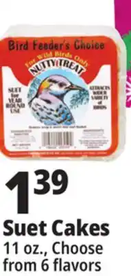 Ocean State Job Lot Bird Feeder's Choice High Energy Suet 11 oz offer