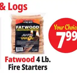 Ocean State Job Lot Fatwood Firestarter offer