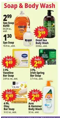 Ocean State Job Lot Soap & Body Wash offer