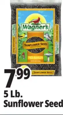 Ocean State Job Lot Wagner's Black Oil Sunflower Seed Wild Bird Food 5 lbs offer