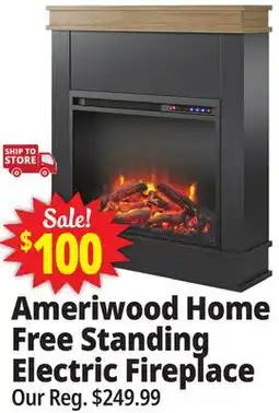 Ocean State Job Lot Ameriwood Home Ellsworth Electric Fireplace with Mantel White offer