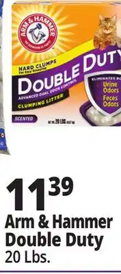 Ocean State Job Lot Arm & Hammer Double Duty offer