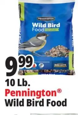 Ocean State Job Lot Pennington Wild Bird Food 10 lbs offer