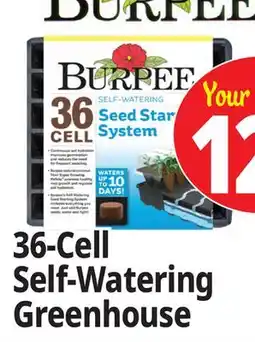 Ocean State Job Lot Burpee Self-Watering Seed Starting System 36-Cell offer
