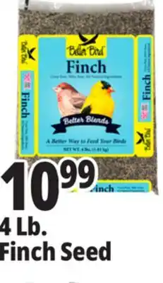 Ocean State Job Lot Better Bird Finch Bird Food 4 lbs offer