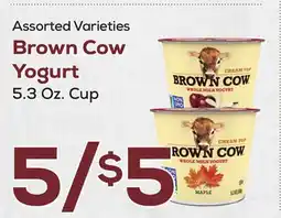 DeCicco & Sons Brown Cow Yogurt offer