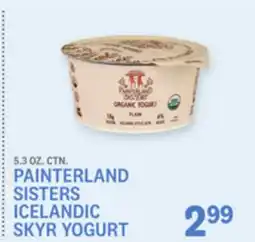 Kings Food Markets PAINTERLAND SISTERS ICELANDIC SKYR YOGURT offer