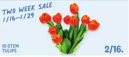 Kings Food Markets 10 STEM TULIPS offer