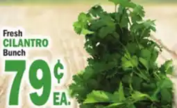 Bravo Supermarkets CILANTRO offer