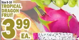 Bravo Supermarkets TROPICAL DRAGON FRUIT offer