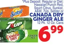 Bravo Supermarkets CANADA DRY GINGER ALE offer