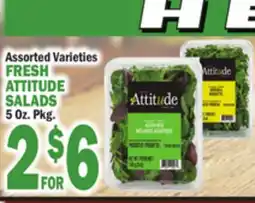 Bravo Supermarkets FRESH ATTITUDE SALADS offer