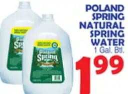 Bravo Supermarkets POLAND SPRING NATURAL SPRING WATER offer
