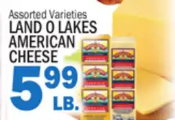 Bravo Supermarkets LAND O LAKES AMERICAN CHEESE offer