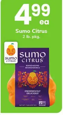 ACME Sumo Citrus offer