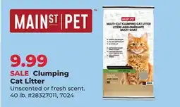 Runnings Main St. Pet Clumping Cat Litter offer