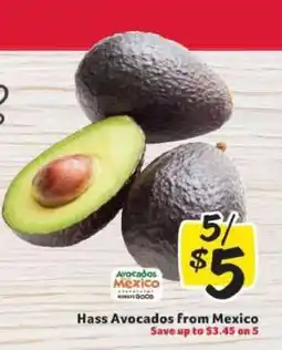 Winn Dixie Hass Avocados from Mexico offer