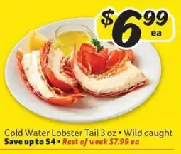 Winn Dixie Cold Water Lobster Tail offer