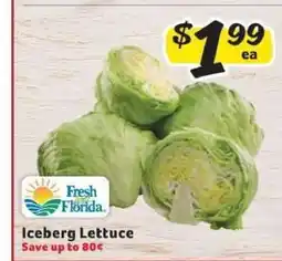 Winn Dixie Iceberg Lettuce offer